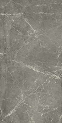 Керамогранит Trevi Brown Nat Ret (610010002132) 45x90 от ColiseumGres (Россия) в Москве