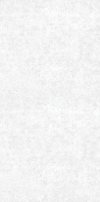Керамогранит A0YB AA0H 1M Rio White Matt Rectified 59.7x119.8 от Goldis Tile (Иран) в Москве