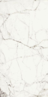 Керамогранит RHAPSODY WHITE FUN NAT/RETT(120125) 60x120 от Naxos Ceramica (Италия) в Москве