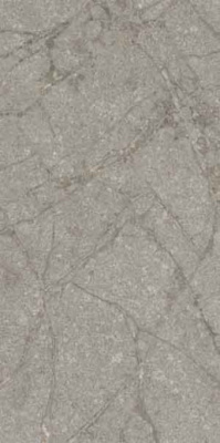 Керамогранит SUPREME MEMORIES GREY SOAPSTONE NAT RETT. 60x120 от Flaviker (Италия) в Москве