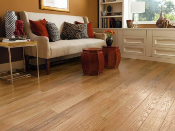 Керамогранит HARDWOOD (Baldocer) в Москве