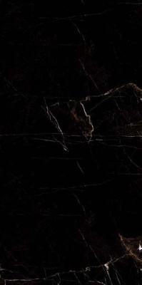 Керамогранит Eco Marble Tropic Black 120x60 от Artcer (Индия) в Москве