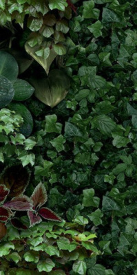 Керамогранит PAPER41 PRO Jane D (4100154) 50x100 от 41ZERO42 (Италия) в Москве