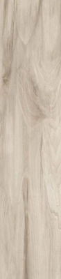 Керамогранит Ashton (GFA92ATN40R) 20x90x9 от Alma Ceramica (Россия) в Москве