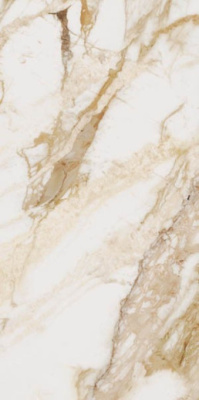 Керамогранит Loyal 60x120 от Ocean Ceramic (Индия) в Москве