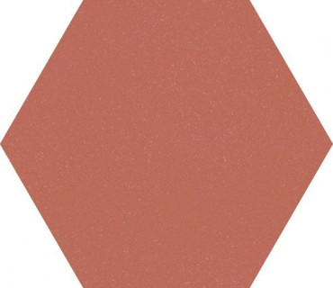 Керамогранит F921 Paprica Aragosta Esa 25x21.6 от Marca Corona (Италия) в Москве