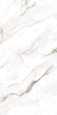 Керамогранит Celia White GLOSTER 60x120 от Maimoon Ceramica (Индия) в Москве