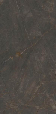 Керамогранит Marmi Classici Pulpis Grey Soft 60x120 от Ariostea (Италия) в Москве