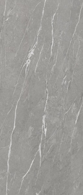 Керамогранит CASANIA GRAY NAT. (6mm) (матовая) 120x280 от TAU Ceramica (Испания) в Москве