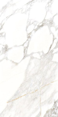 Керамогранит PALACIO Statuario Altimo Polished 60x120 от Staro (Индия) в Москве