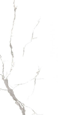 Керамогранит CALCATTA MATT (8068) 60x120 от Fakhar (Иран) в Москве