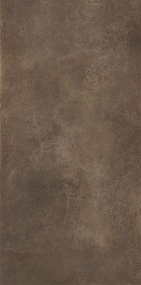 Керамогранит Oxide Brown Nature (C229803511) 120x250 от XLight (Испания) в Москве