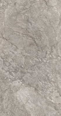 Керамогранит BRECCIA BRAQUE LUC C46M8Y 120x240 от Emil Ceramica (Италия) в Москве