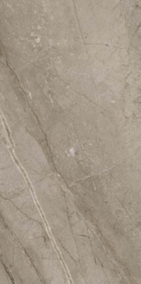 Керамогранит Forte Dei Marmi Mystic Grey Matt (610010002711) 80x160 от Atlas Concorde (Россия) в Москве