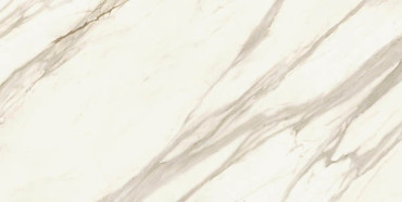 Керамогранит Marvel Meraviglia Calacatta Bernini Matt (AJJL) 30x60 от Atlas Concorde (Италия) в Москве