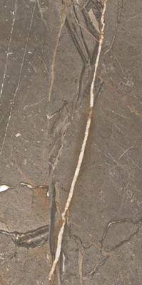 Керамогранит Amaranto Brown Rett 60x120 от Cercom Ceramiche (Италия) в Москве