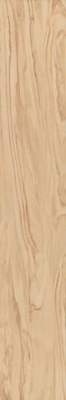 Керамогранит Олива SG516200R бежевый обрезной 20x119.5 от Kerama Marazzi (Россия) в Москве