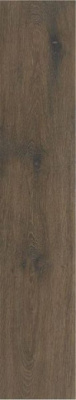 Керамогранит Articwood Mocha Rect 22.7x119.5 от STN Ceramica (Stylnul) (Испания) в Москве
