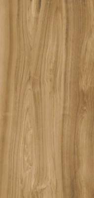 Керамогранит Xlight Premium Ewood Camel Nature (С229803551) 120x250 от XLight (Испания) в Москве