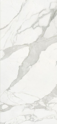 Керамогранит Calacatta Supremo Polished (6 мм) (MN013AP261206) 120x260 от Moreroom (Китай) в Москве
