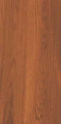 Керамогранит Тектона DD503700R беж тёмный обрезной 60x119.5 от Kerama Marazzi (Россия) в Москве
