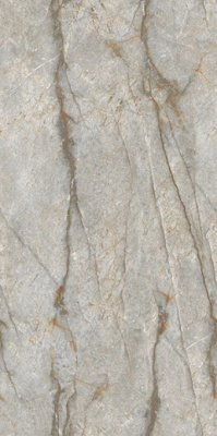 Керамогранит MARMO Forest Carving (NTT99517M) 60x120 от NT Ceramic (Китай) в Москве