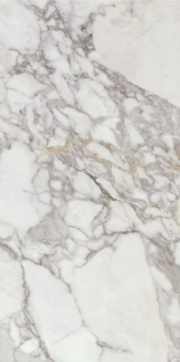 Керамогранит Calacatta Silver Pol. Rect 60x120 от APE Ceramica (Испания) в Москве