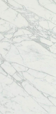 Настенная плитка Marvel Statuario Select 80 9M4R 40x80 от Atlas Concorde (Италия) в Москве