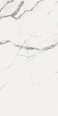 Керамогранит NPlus New ice white 60x120 от Fanal (Испания) в Москве