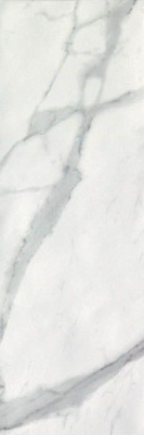 Настенная плитка ROMA 25 STATUARIO (fLSR) 25x75 от FAP Ceramiche (Италия) в Москве