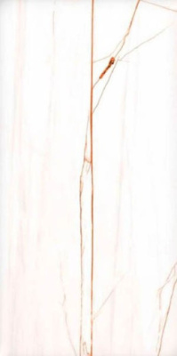 Керамогранит Bianco Oro glossy 60x120 от Maimoon Ceramica (Индия) в Москве