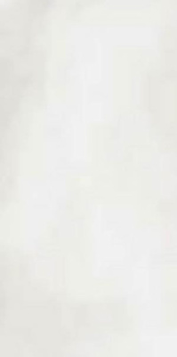 Керамогранит R-EVOLUTION TOTAL WHITE *36SC* (11460126) 60x120 от Casalgrande Padana (Италия) в Москве