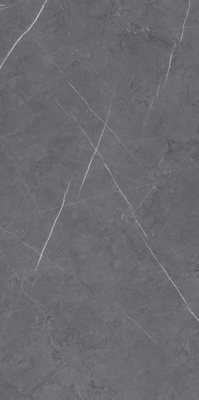 Керамогранит Jolie Pietra Grey LUC SQ (JL06) 120 60x120 от Mirage (Италия) в Москве