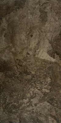Керамогранит FOSSIL Brown Rectified Lappato 60x120 от Seranit (Турция) в Москве