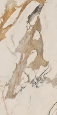Керамогранит EPOQUE IVORY RET (PF60004294) 60x120 от Ariana (Италия) в Москве