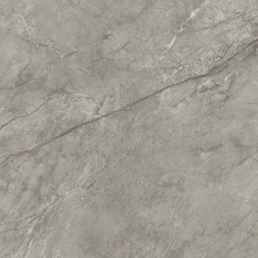 Керамогранит Marvel Meraviglia Silver Majestic Matt (AJJC) 60x60 от Atlas Concorde (Италия) в Москве
