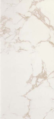 Настенная плитка Roma Diamond Calacatta Brillante Rt (fPQC) 50x120 от FAP Ceramiche (Италия) в Москве