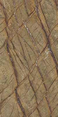 Керамогранит MARMOKER BROWN FOREST HONED (12460301) 60x120 от Casalgrande Padana (Италия) в Москве