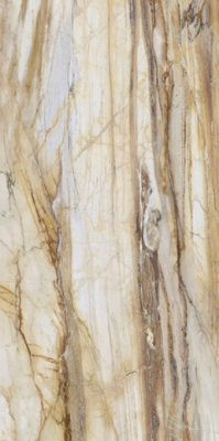 Керамогранит LM FOSSIL MC R (FBS01MQ041) 100x200 от Roca (Испания) в Москве