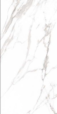 Керамогранит Eco Marble Royal White 120x60 от Artcer (Индия) в Москве