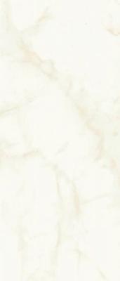 Настенная плитка Marvel Shine Calacatta Delicato Silk (A4TT) 50x120 от Atlas Concorde (Италия) в Москве