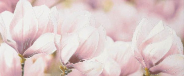 Декор Rapsodia violet decor 01 25x60 от Gracia Ceramica (Россия) в Москве