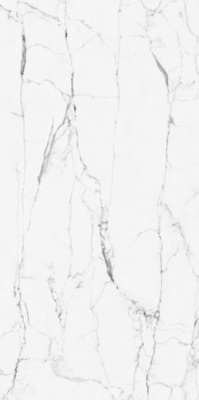 Керамогранит CityMarble Статуарио Венато 7ЛПР R9 (K951844LPR01VTEP) 60x120 от Vitra (Турция) в Москве