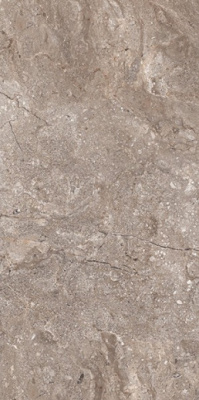 Керамогранит LEOPARD 6405 Stone Grey Polished 60x120 от Leopard (Индия) в Москве