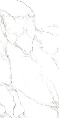 Керамогранит CANOVA STATUARIO RET (J88474) 60x120 от Rondine Group RHS (Италия) в Москве