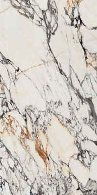 Керамогранит SUPR TREAS CORCHIA GOLD NAT (0009066) 60x120 от Flaviker (Италия) в Москве