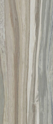 Керамогранит PALISANDRO GRAY PUL. (6mm) (полированная) 120x280 от TAU Ceramica (Испания) в Москве