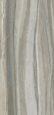 Керамогранит PALISANDRO GRAY PUL. (6mm) (полированная) 120x260 от TAU Ceramica (Испания) в Москве