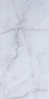 Керамогранит Aqarius Onyx Grey (polished) (3063) 60x120 от Tilekraft (Индия) в Москве