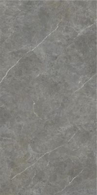 Керамогранит Firenze Gris Rect 59.5x120 от STN Ceramica (Stylnul) (Испания) в Москве
